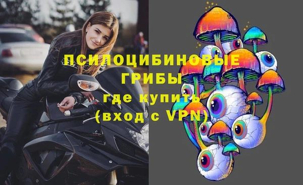 дмт Абинск